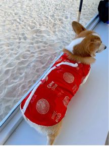 New Year Celebration Pet Clothes Warm Cotton Jacket Sleeveless Dog Coat for Pugs And Corgis Festive Autumn Winter Pet Wear