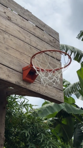 Basketball Ring Basketball Hoops 10/12/14/16/18 INCHES with Dual Spring