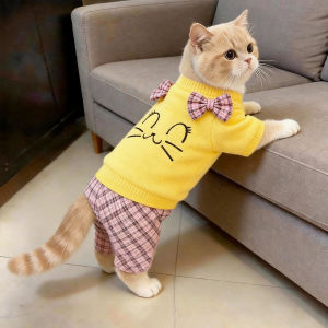 Petone dOrage | Warm Thick Hair Loss Prevention Cat Clothes