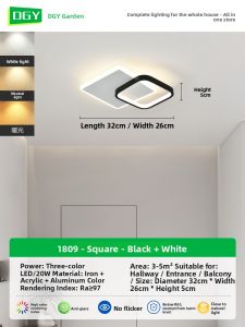 DGY | Modern and Luxurious Scandinavian Hall Light