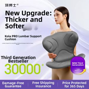 D.BOSHI | Office Back Support Cushion