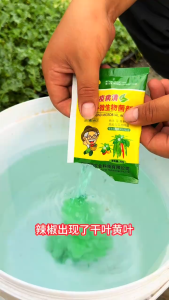 Pupuk Larut Air Cili & Sayuran – 3-in-1 Micronutrient Spray for Peppers Tomatoes Cucumbers Beans 辣椒肥 一包见效