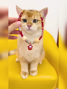 ปลอกคอสไตล์ญี่ปุ่นน่ารัก ปลอกคอสัตว์เลี้ยง สําหรับสัตว์เลี้ยง เช่นแมว หมา โบว์สุนัข