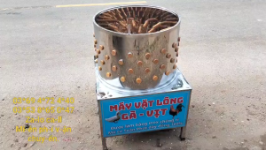 Máy làm sạch lông gà vịt inox 100% phi 60 động cơ lõi đồng