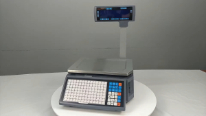 Ashica Rongta RLS1100 Barcode Label Weighing Scale (Free Stamping/License)