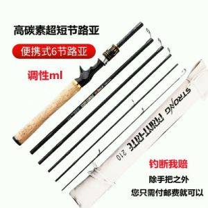 Six-Section Plug-in High Carbon Lure Rod Portable Mini Sea Fishing Rod Casting Rods Ultra Short Section 40cm Road Slider Travel Fishing Rod