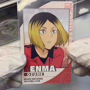 Payoe Sleeve Photocard KPOP Plastik Pembungkus Kartu Photocard Holder 50Pcs