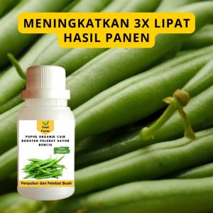 Pupuk Buncis Cepat Berbuah: Tips & Trik
