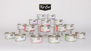Kitcat Gravy Wet Cat Food 70g