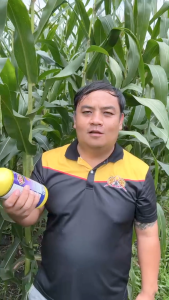 ลอฟสตาร์ ลูเฟนนูรอน ยาน็อค  คุมไข่ โดนตัวตาย ใช้ได้ทั้งหนอน และ แมลงขนาด 1 ลิตร มิกซ์สูตรพิเศษ (ของแท้ส่งตรงจากโรงงาน)