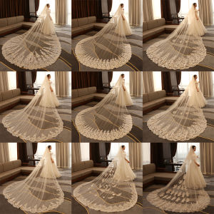 Mo Duowei Brides Wedding Veil with Ultra-Long Tail High-End White Lace Flowers Accessory for Elegant Wedding Gowns