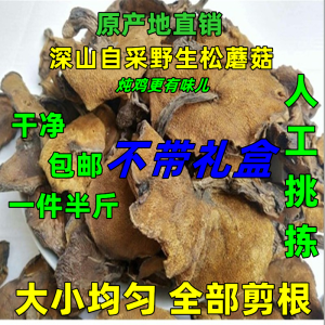  Wild Mushroom Speciality Shandong Dry Mushroom Chicken Stew Mushrooms Artemisia Mushrooms Pinus Mushroom Root Trimmed