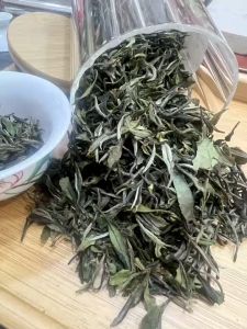 TCHA | ชาขาวกงเหมย Gong Mei White Tea เกรด 1 อายุ 3 ปี จากภูเขาอู่ยิซาน 三年白茶一级贡眉，产地武夷山