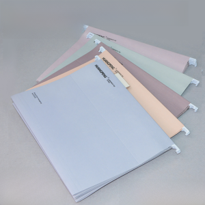Thick Morandi Color A4 Hanging File Organizer