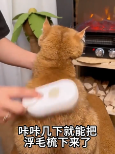 MeowSpa / meow Spa sisir grooming 3 in 1 DZ