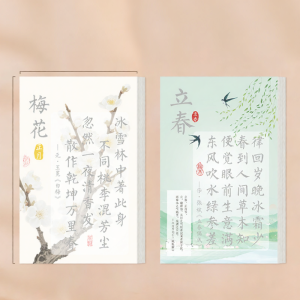 LIUPINTANG | Traditional Chinese Calligraphy Copybook for Adults Practice