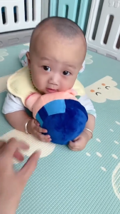 Đồ chơi heo biết nhảy– Biết ghi âm nói lại phát nhạc rung lắc vui nhộn cho bé mới nhất 2025