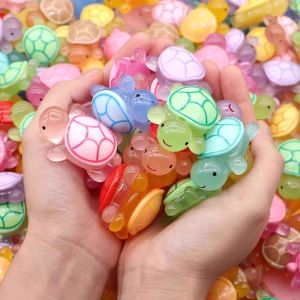 Night Glow Turtle Toy