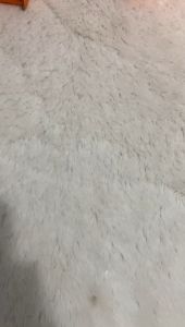 Sepatu Sneakers Kulit Wanita Import: Panduan Lengkap