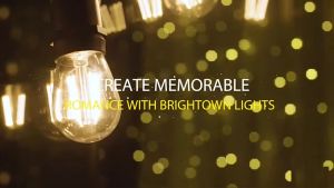 Kabel Fitting Lampu Cafe Gantung 10m 20FITTING Dekorasi Outdoor Fitting