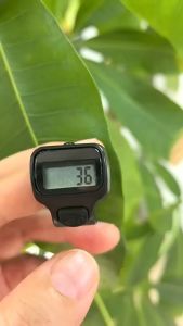 HOHODALINK COD✨Tasbih Digital Cincin LED Mini Alat Penghitung Dzikir Alat Hitung Digital Tally Counter