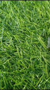 (1BIJI) JOYKO ERASER B40 HITAM