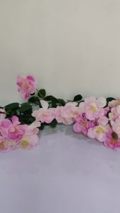 Sikat Pembersih Wastafel Sudut Dapur Wajan Kompor Gelas Dot Botol Susu Brush Multifungsi Bahan Silikon Premium