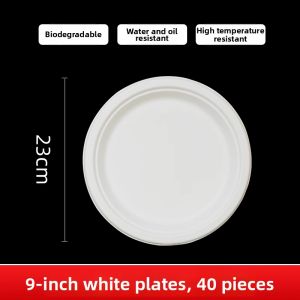 LANYUEXING | Biodegradable Disposable Tableware Set