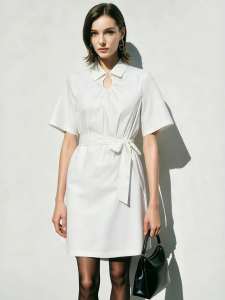 AMII | Commute Style Removable Belt and Decorative Buckle Collar Dress