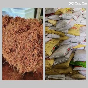 Xơ Dừa Tự Nhiên - Giá Thể Trồng Cây Hiệu Quả Cao Tăng Cường Khả Năng Giữ Ẩm Cho Cây Trồng ( bao)