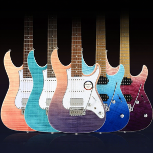 Shijie | Beginner to Advanced Female Electric Guitar