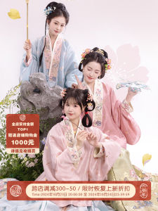 YuanShanQiao Daily Wear Hanfu Set Gold Weave Ming Style Cross Back Horse Face Skirt Womens Spring Summer Fashion Traditional Costume