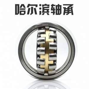 Bearing 579905A