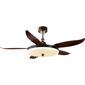DGY | Retro Eye-Protecting Ceiling Fan Light