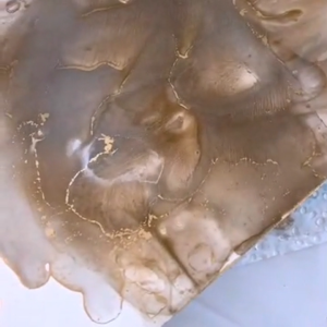 12 Colours 10ml Metallic Inks Set Epoxy Resin Pigment Tint Colourant Liquid Dye Resin High Concentration DIY Crafts