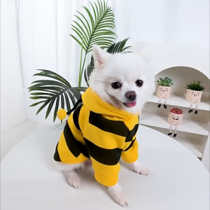 Honey Bee Bear BackpackPet’s Cutie Shirt for cats and small breed dogs