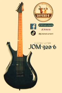 BLUERIDGE ELECTRIC GUITAR JOM 920