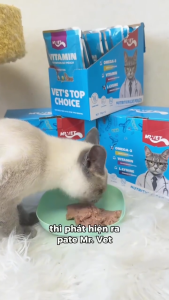 Pate Cho Mèo Mọi Lứa Tuổi MRVET Cải Thiện Tiêu Hóa Tăng Cường Miễn Dịch Túi 70gr