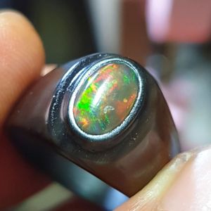 kalimaya banten jarong biang 100% natural