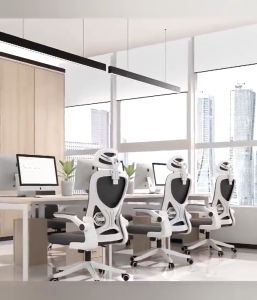 Ergonomics chair 4D Lumbar Office Chair Computer Chair Gaming Chair High Back Comfortable Meeting Room with Adjustable Armrest