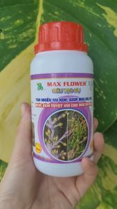 [Freeship Max] Phân bón SIÊU TẠO NỤ chai 250ml giúp mai vàng ra nhiều nụ kim nụ khỏe mập mạp_VTNN TRUNG THIEN THINH