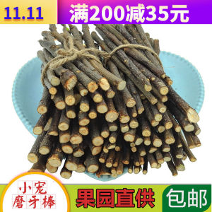 ขนมปังกระต่าย ขนมปังแฮมสเตอร์ ฟักทอง ขนมปังสุนัขจิ้งจอก ของเล่นตกแต่งสำหรับสัตว์เลี้ยง ของเล่นสำหรับสัตว์เลี้ยง