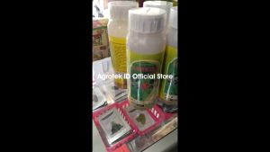 SANKILL 590 EC 400 ml Insektisida Belalang Wereng
