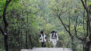 Ulanzi TT35 146cm Camera Tripod Hiking Stick Kit T068