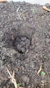 เครื่องมือขุดหลุมดินอัตโนมัติ จํานวน 1 ชิ้น