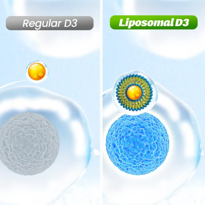 [2 Boxes] LABO Nutrition Liposomal Vitamin D3 1000IU for Strong Bones ...