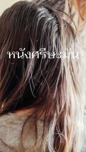 [ลดความัน ผมหนา] Brazils Phytocell Intensive Hair Serum เซรั่มบำรุงหนังศรีษะและเส้นผม ลดความมันบนหนังศรีษะ ลดผมร่วง กระตุ้นผมขึ้นใหม่