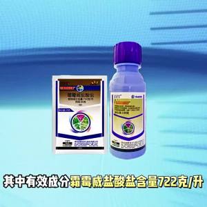 Nopson   Golden Hair   Stufurax Salicylic Acid Salt Spray for Spinach and Cucumber Downy Mildew Fungicide Pesticide Green Environmental Protection