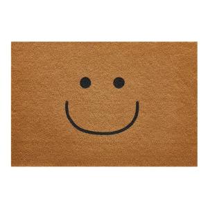 Dirt-Resistant Wash-Free Coconut Fiber Door Mat