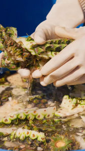 Nước Giặt PineBoo Cho Bé 500ml – Enzyme Dứa Thiên Nhiên Dịu Lành Cho Da Nhạy Cảm